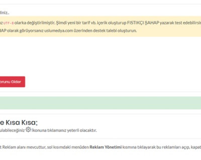 Türkçe Karakter Sorunu için Yeni Buton ve Özellik